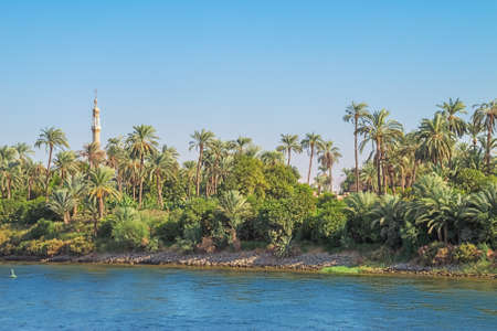 The Nile at Armant, between Luxor and Aswanの写真素材