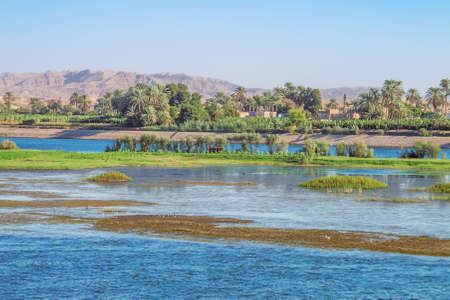 Wetlands on Armant Island, near Luxorの写真素材