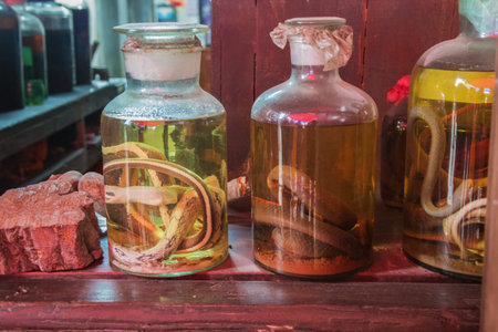 Jars with snakes in a traditional pharmacy in the old town of Daxuzhen