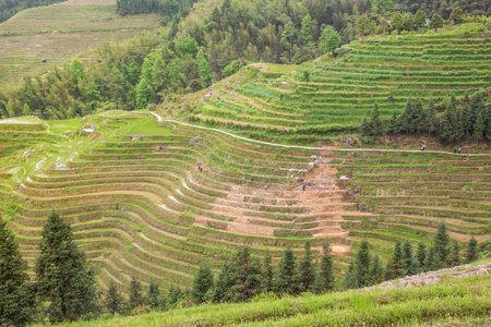 Editorial: PING'ANCUN, LONGSHENG, GUANGXI, CHINA, April 20, 2019 - Workmen repairing a landslide at Ping'ancun village in the Longsheng area near Guilinのeditorial素材