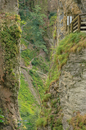 Fallen debris and trees in the Kitzlochklamm, a deep gorge near Zell am Seeの写真素材