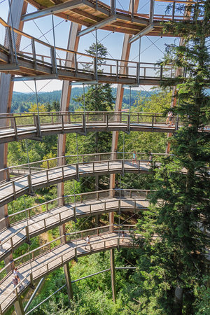 Editorial: NEUSCHONAU, BAVARIA, GERMANY, August 12, 2020 - Looking at the tree in the center of the observation tower on the treetop walk at Neuschonau in the Bavarian Forestのeditorial素材