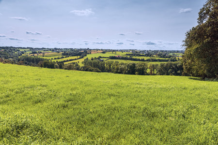 Green pastures around Bolland in the Pays de Herve, not far from Liege