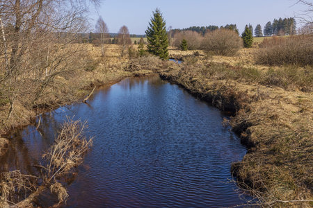 The Rour a tributary of the Meuse near its source in the nature park near Sourbrodt