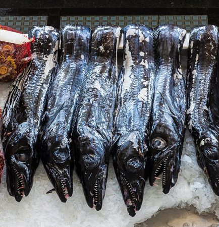 Black scabbardfish on display at the Farmer's Marketの写真素材