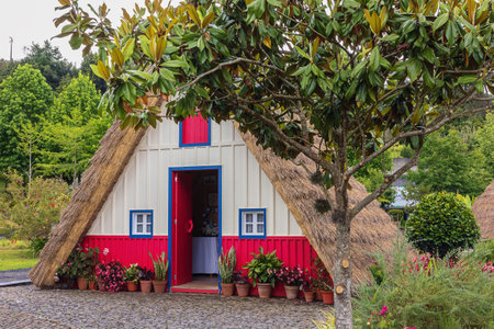 Red and white Santana style house with high thatch roofsの写真素材