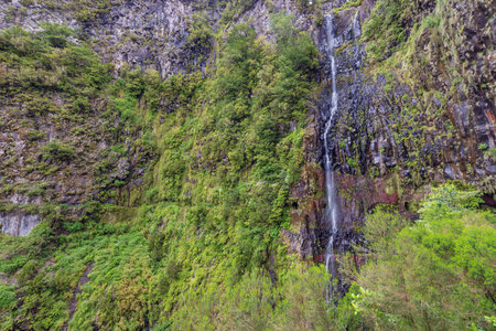 The Risco waterfall and its surroundings near the Rabacal levada