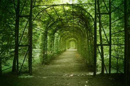 The green arch in the parkの写真素材