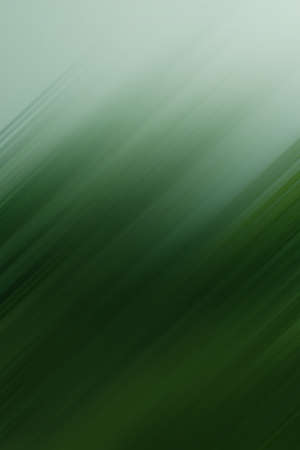 Blurry green backgroundの写真素材