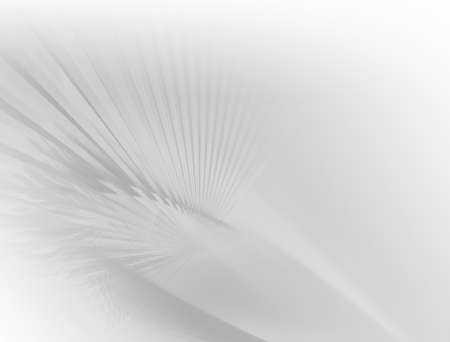 Elegant background design with space for your textの写真素材