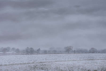A grey day in the Netherlands: Misty dutch winter landscapeの写真素材