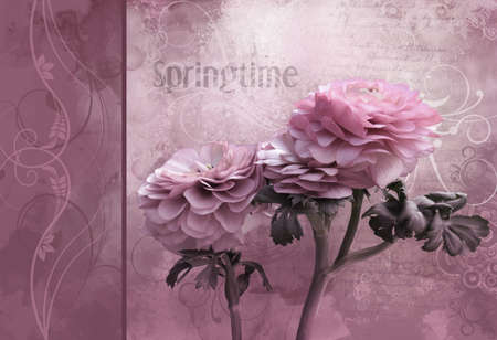 Pink spring time flower - Artistic background for your own creationsの写真素材