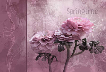 Grunge old paper background with gentle pink flowerの写真素材