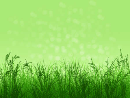 Spring background. Natural background with bokeh. Summer. A park. Regeneration. Close-up. Nature awoke.の写真素材