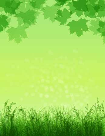 Spring background. Grass in sunlight.Natural background with bokeh. Summer. A park. Regeneration. Close-up. Nature awokeの写真素材