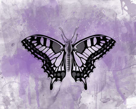 Purple butterfly on abstract hand painted watercolor backgroundの写真素材