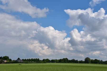 Dutch rural landscape with fresh green grass on a cloudy day in the spring seasonの写真素材