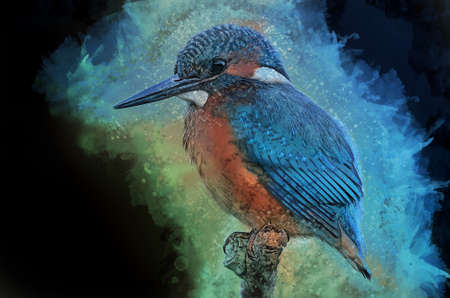 Common Kingfisher - painted with watercolor. Bird illustrationの写真素材
