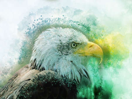 Eagle america bird watercolor painting symbol predatorの写真素材