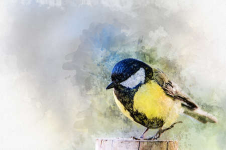Watercolor Big tit. Hand drawn watercolor owl perfect for design greeting card or print.の写真素材