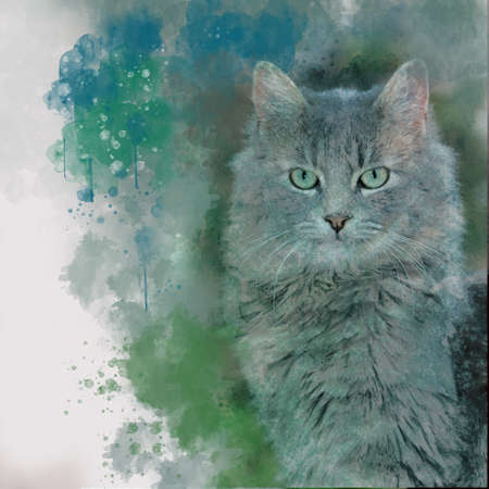 Watercolor hand painted illustration of cute grey catの写真素材