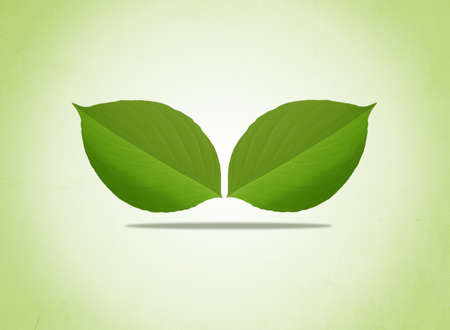 Leaf icon isolated on white background. Leaf icon simple sign. Leaf icon trendy and modern symbol for graphic and web design.の写真素材