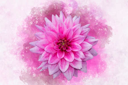 Pink dahlia painting, vintage background. Floral illustration - perfect for greeting card, birthday card or letterheadの写真素材