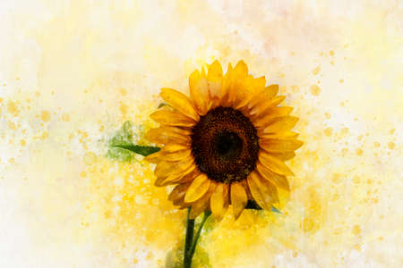 Sunflower in watercolor style, floral illustration for scrapbook or greeting cardsの写真素材