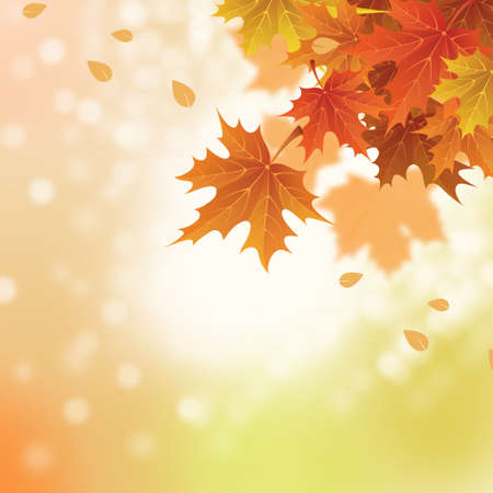 Autumn leaves banner illustration. Orange and yellow falling leavesの写真素材