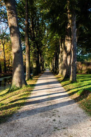 Way in the park in autumn. Fall forest landscape.