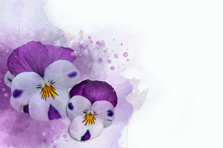 Close-up of purple pansy flowers in watercolor. Botanical illustration for greeting card.の写真素材