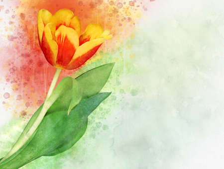 Watercolor tulip. Hand drawn watercolor spring flower perfect for design greeting card or print.の写真素材