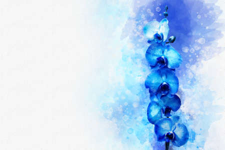 Blue Orchid - floral watercolor background illustration on white backgroundの写真素材
