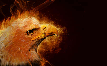 Illustration of fire burning eagle with black backgroundの写真素材