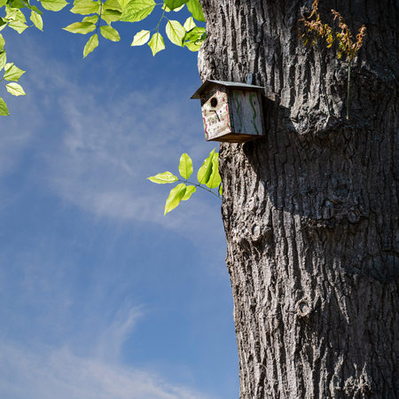 Bird house on pole. Birds nest to protect birds raising their nestlings