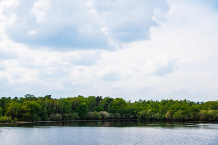 Beautiful lake in the middle of moorland at National park Maasduinen, province Limburg the...