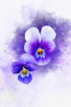 Close-up of purple pansy flowers in watercolor. Botanical illustration for greeting card.