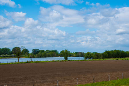 Spring morning in dutch dike landscape at the river Maas. Agricultural landscape.の写真素材