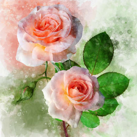 A watercolor drawing of two vibrant orange rose flowers. Botanical art. Decorative element for a greeting card or wedding invitationの写真素材