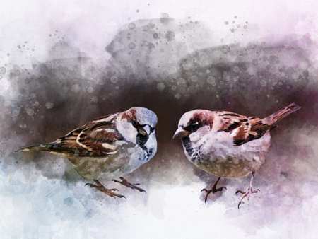 Two sparrows Watercolor Digital Painting, vintage effect. Bird illustration.の写真素材