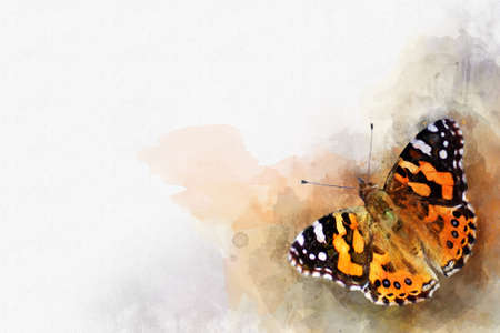 Watercolor image of a butterfly on a vintage background. Butterfly close up. Handmade illustration. Animal world of insects.の写真素材
