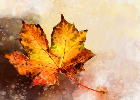 Autumn leave - watercolor on a white background. Fall illustration.の写真素材