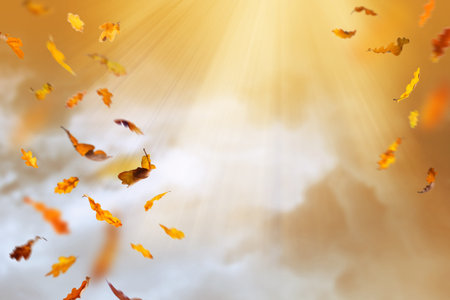 Autumn background with sunlight and falling leaves