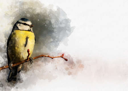 Portrait of a Blue Tit bird, watercolor painting. Bird illustrationの写真素材