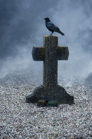 Crow on an old gravestone in halloween nightの写真素材
