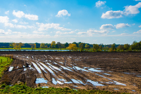 Autumn landscape. Blue sky over an empty field.