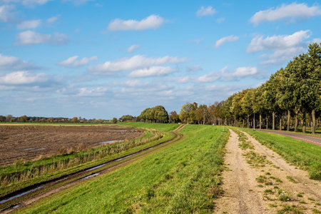 Autumn landscape. Blue sky over an empty field.