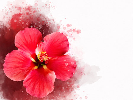 Watercolor painting of a vibrant red hibiscus flower. Botanical illustrationの写真素材