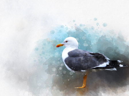 Watercolor seagull hand drawn illustration. Bird illustration.の写真素材