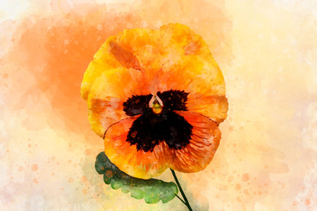 Close-up of orange pansy flower in watercolor. Botanical illustration for greeting cardの写真素材
